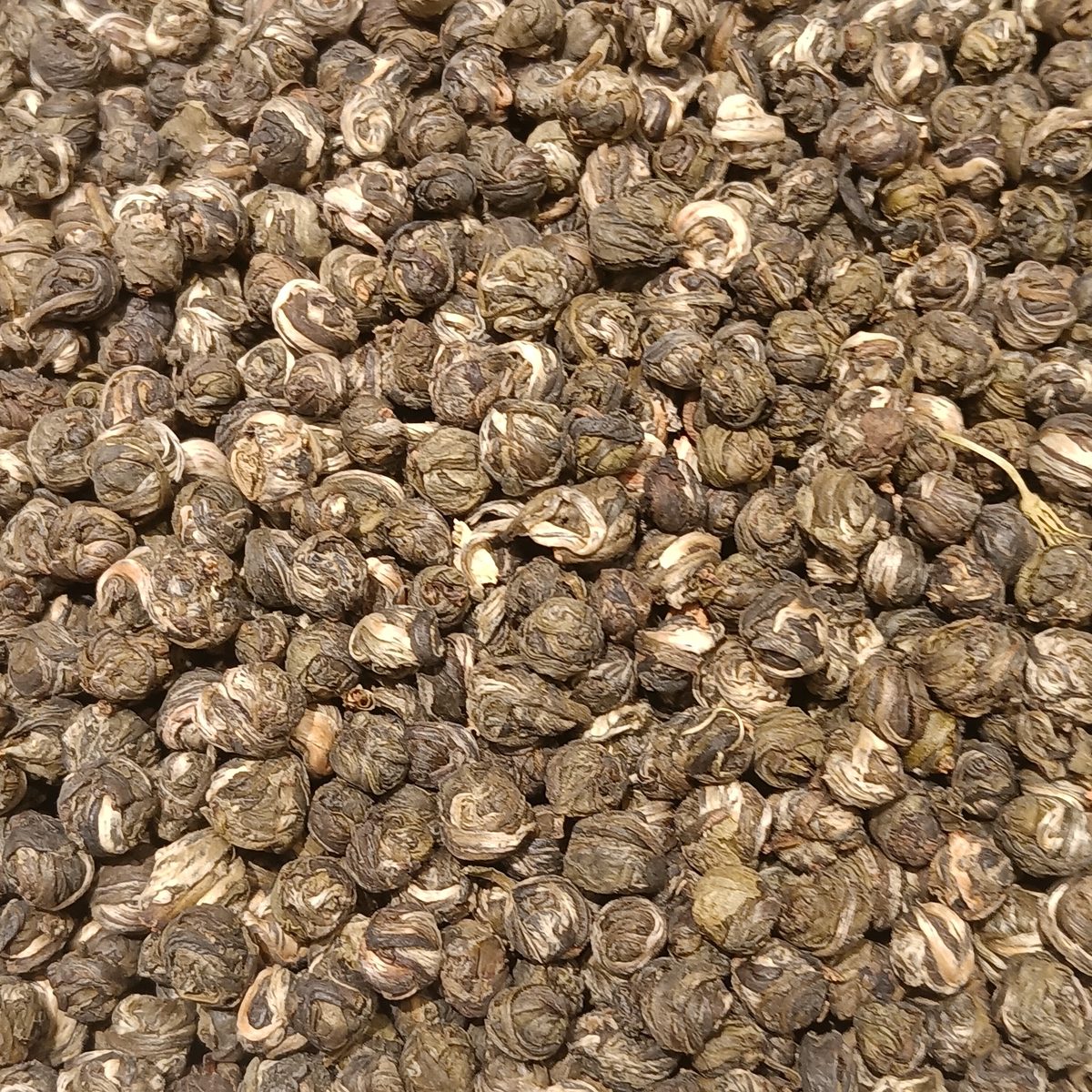 Jasmine dragon pearls, Zhangzhou
